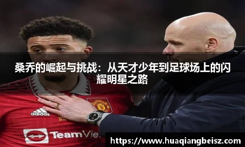 必一·运动(b-sports)官网
